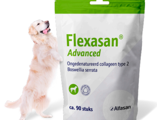 Flexasan advanced – Introductie actie JUNI